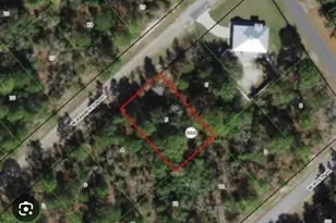 3132 W Barberton Pl, Citrus Springs, FL 34433 - Photo 1