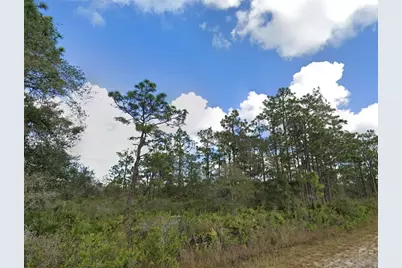 706 Poinciana Drive, Indian Lake Estates, FL 33855 - Photo 1
