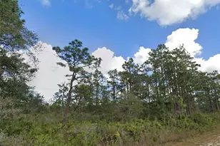 706 Poinciana Dr, Indian Lake Estates, FL 33855 - Photo 1