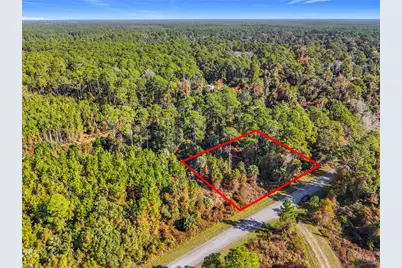 810 Paradise Boulevard, Georgetown, FL 32139 - Photo 1