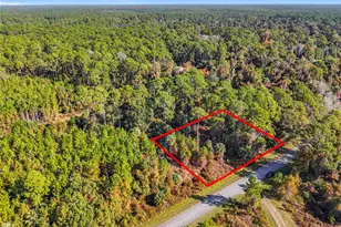 810 Paradise Blvd, Georgetown, FL 32139 - Photo 1