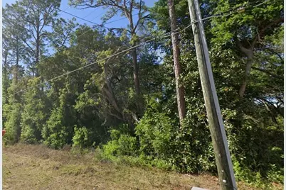 Se 17th Lane, Ocklawaha, FL 32179 - Photo 1