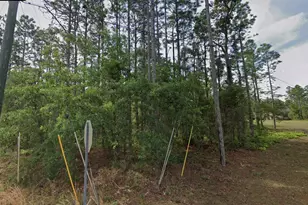 1 Sanders Ct W, Homosassa, FL 34446 - Photo 1