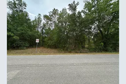 Se 152nd Lane, Summerfield, FL 34491 - Photo 1