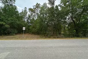 SE 152nd Ln, Summerfield, FL 34491 - Photo 1