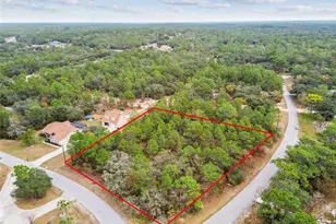 3435 W Danny Ct, Beverly Hills, FL 34465 - Photo 1