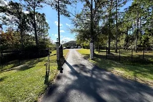 20342 Peabody St, Orlando, FL 32833 - Photo 1