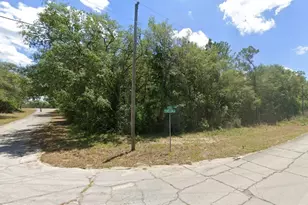 2988 W Sun Pl, Dunnellon, FL 34433 - Photo 1