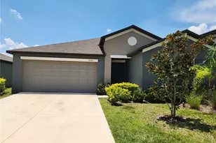 10353 Scarlet Skimmer Dr, Riverview, FL 33578 - Photo 1