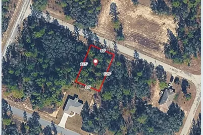 9720 W Calla Lily Drive, Dunnellon, FL 34433 - Photo 1