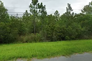 Robertson St, Orlando, FL 32833 - Photo 1