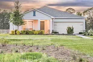 4244 Alice St, Edgewater, FL 32141 - Photo 1