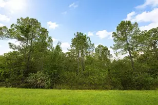 18715 Sodbury St, Orlando, FL 32833 - Photo 1