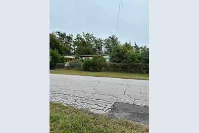 1300 Morningside Street, Mount Dora, FL 32757 - Photo 1