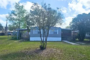 221 Sunshine Blvd, Polk City, FL 33868 - Photo 1