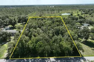 5741 Swaying Palm Dr, Punta Gorda, FL 33982 - Photo 1