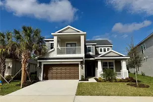 33314 Castaway Loop, Wesley Chapel, FL 33543 - Photo 1