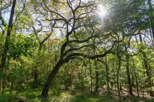 Tbd Lot 10 10th Terrace, Live Oak, FL 32060 - Photo 1