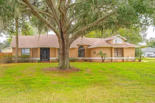 14334 Raintree Blvd, Grand Island, FL 32735 - Photo 1