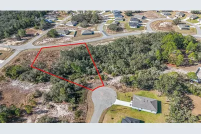 320 Bowfin Lane, Poinciana, FL 34759 - Photo 1