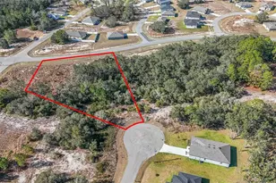 320 Bowfin Ln, Poinciana, FL 34759 - Photo 1