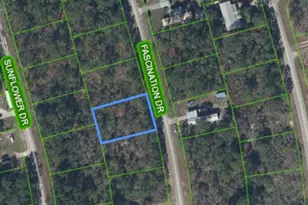 108 Fascination Dr, Lake Placid, FL 33852 - Photo 1