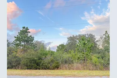 00 Robertson Street, Orlando, FL 32833 - Photo 1