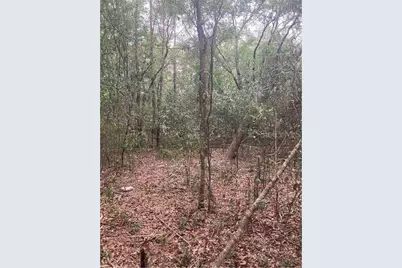 Virginia Road, Altoona, FL 32702 - Photo 1