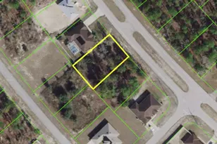 SW 135th Street Rd, Ocala, FL 34473 - Photo 1