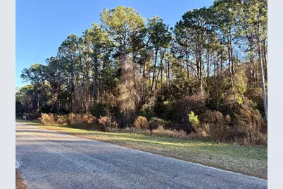 Apricot Avenue, Eustis, FL 32736 - Photo 1