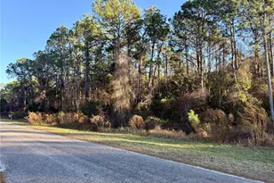 Apricot Ave, Eustis, FL 32736 - Photo 1