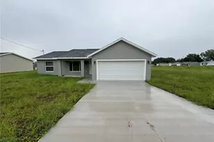 9 Maple Ln, Ocklawaha, FL 32179 - Photo 1