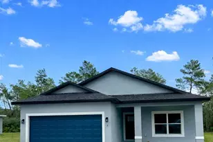 5 Fisher Pl Dr, Ocklawaha, FL 32179 - Photo 1