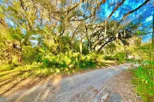 Tbd Lakeview Way, Interlachen, FL 32148 - Photo 1