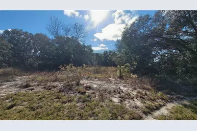 Sw 131st Lane, Ocala, FL 34473 - Photo 1