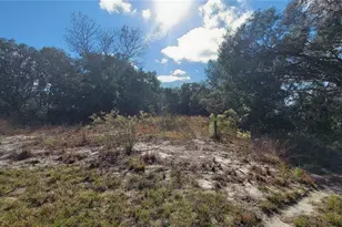 SW 131st Ln, Ocala, FL 34473 - Photo 1