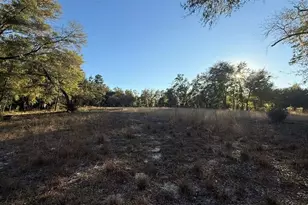 NE 40th St, Williston, FL 32696 - Photo 1