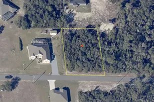 2067 SW 178th Lane Rd, Ocala, FL 34473 - Photo 1