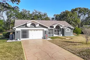 9241 Angora St, Spring Hill, FL 34608 - Photo 1