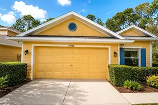 20428 Harvest Oak Ct, Tampa, FL 33647 - Photo 1