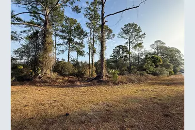 W Thyme Avenue, Eustis, FL 32736 - Photo 1