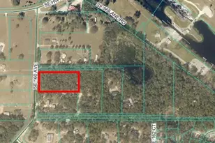 0 SE 160th Ave, Ocklawaha, FL 32179 - Photo 1