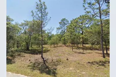 0 SW 204th Street, Dunnellon, FL 34431 - Photo 1