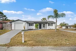 11241 Yewtree Ave, Port Richey, FL 34668 - Photo 1