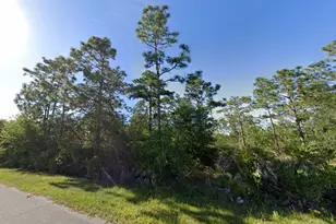 19665 Ralston St, Orlando, FL 32833 - Photo 1