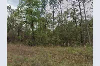 159th Avenue Road, Ocala, FL 34481 - Photo 1