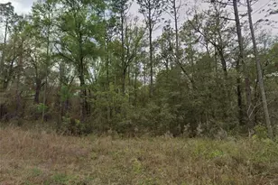 159th Ave Rd, Ocala, FL 34481 - Photo 1