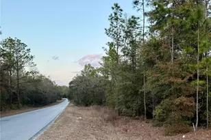 SW 129th Terrace Rd, Ocala, FL 34481 - Photo 1