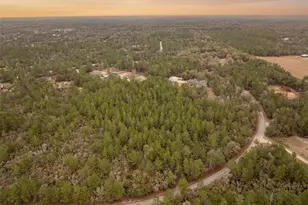 Seminole Woods Blvd, Geneva, FL 32732 - Photo 1