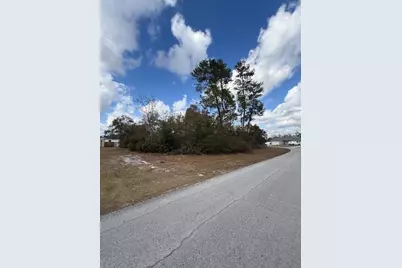 0 SW 42nd Court Road, Ocala, FL 34473 - Photo 1
